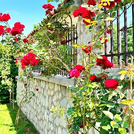 Rila Garden Луксозна вила *